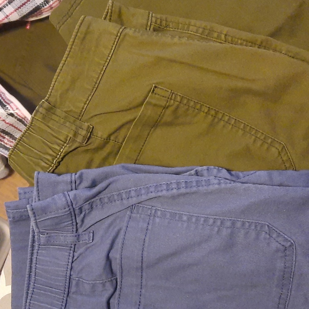 G.H. Bass & Co. Olive and Blue Straight Leg Pants